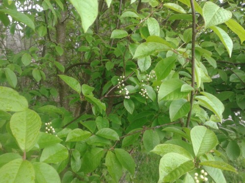 20160414_154046.jpg