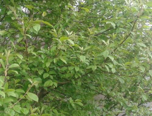 20160414_154036.jpg