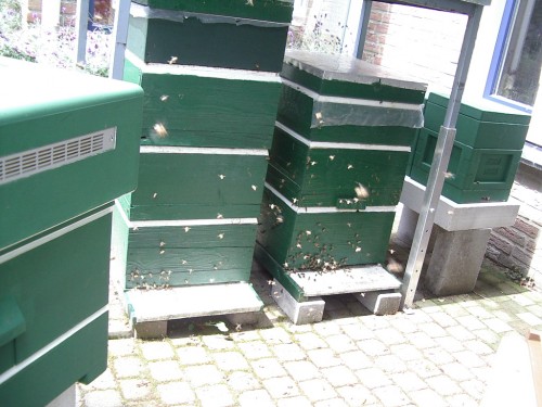 IMGP0007.JPG