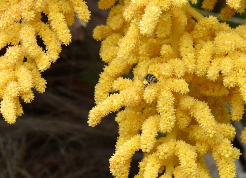 DSC_3131.JPG