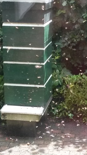 20160615_135703.jpg