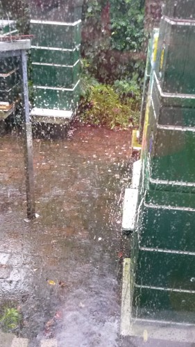20160615_152332.jpg