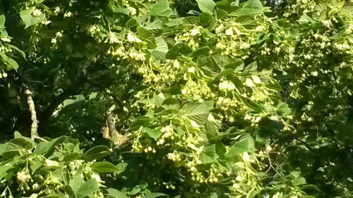 20160609_185836.jpg