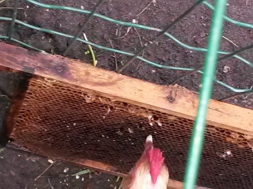20160707_083609.jpg