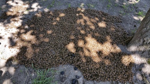 20160715_164436 klein.jpg