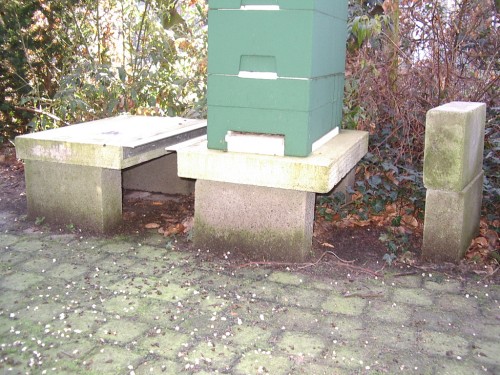 IMGP0005.JPG