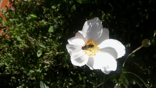 20160824_100428.jpg