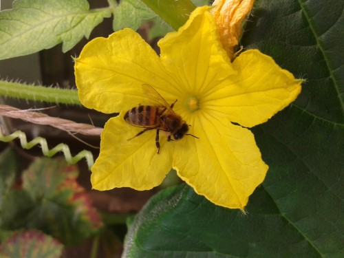 20160826_141632.jpg