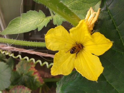 20160826_141626.jpg