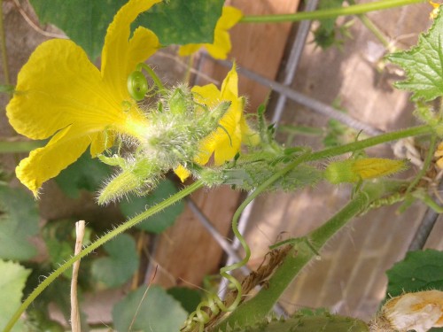 20160826_141550.jpg