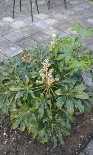 20161022_171101.jpg