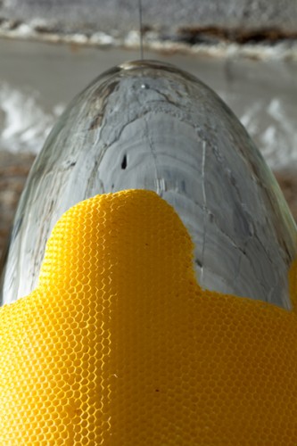 The_Seed_Of_Narcissus_2_Lo-res.jpg
