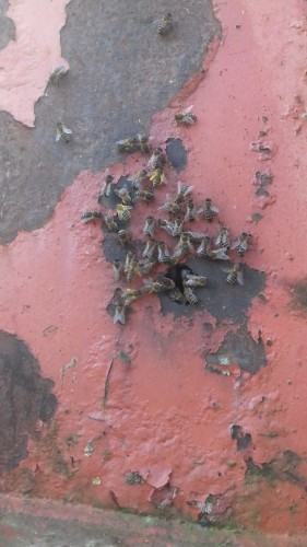 20170316_145410.jpg