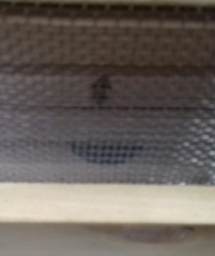 Gat achter in de kast