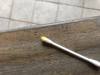 Met een wattenstokje heb ik voorzichtig wat stuifmeel uit het<br />geboorde gangetje gahaald.<br />Foto's van Annemarie