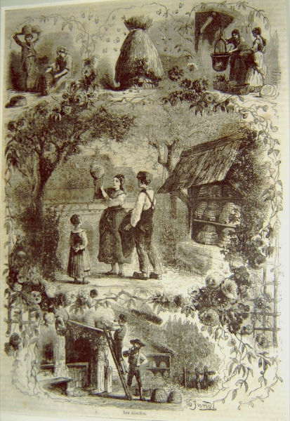 Franse gravure met de romantiek van de bijenteelt