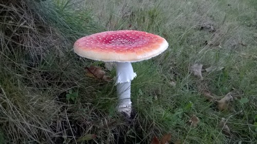 Houd uw adem in. Sporengevaar !