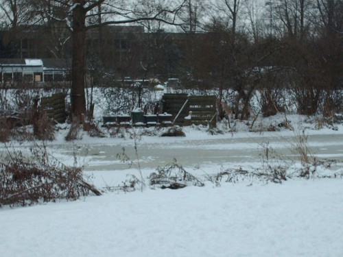 sneeuw3 010.JPG