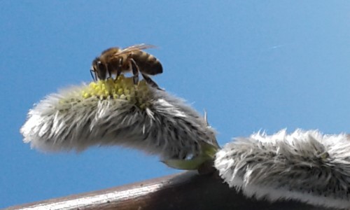 20170306_131451.jpg