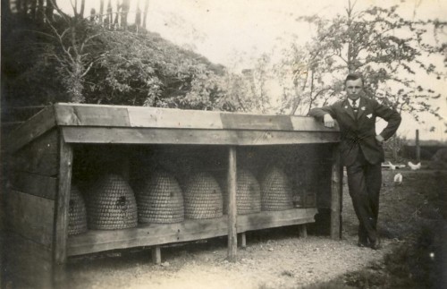 1948 pap met de bijen.JPG