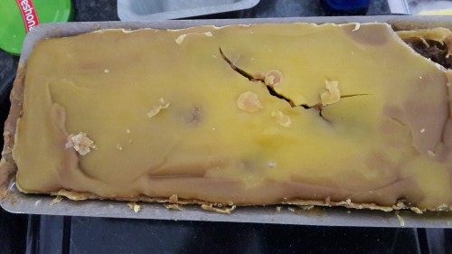 20180408_101807[1].jpg