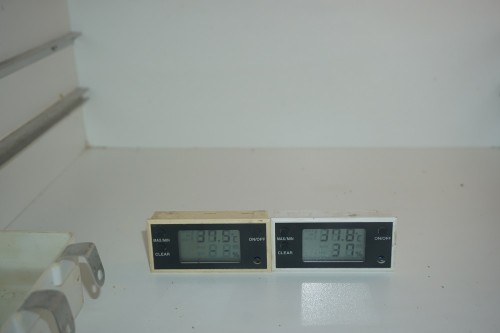 Thermometers in BM.jpg