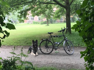 Pluto, herdershond voor op de grote stille hei waar hij in harmonie kan leven met schaap hommel en bij.