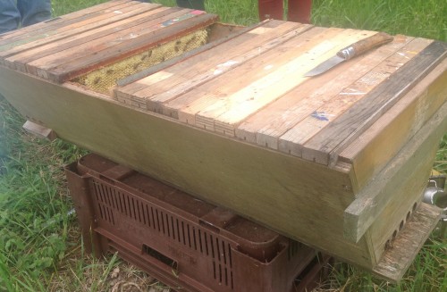 Deze lattenkast is ongeveer 90cm lang. De vlieger heeft de ingang aan de korte zijde en de broedaflegger heeft de ingang aan de lange zijde. Beide volken worden in eerste instantie, totdat de jonge moer aan de leg is, strikt gescheiden door een plank.
