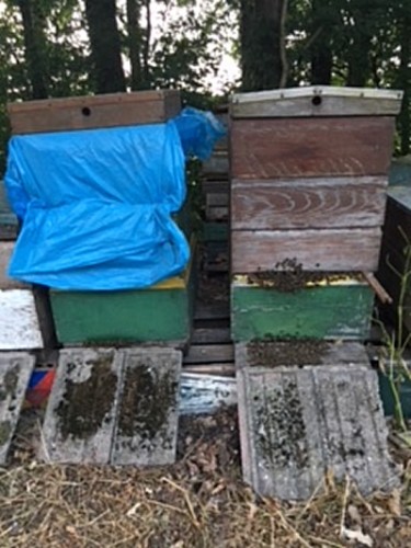 Warmte vasthouden voor het broed ? <br />Thermobehandeling tegen varroa.?<br />Andere bedoeling ? Welke dan ?