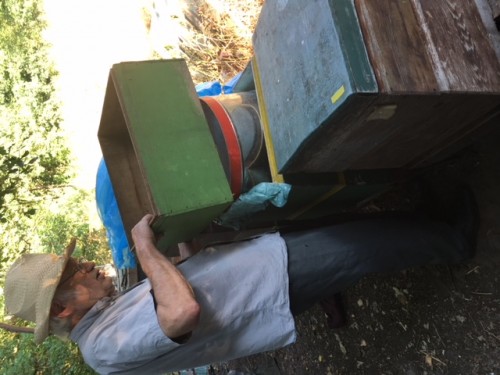 De buitenrandwand van de <br />dubbelwandige simplex-bijenkast wordt opgetild.<br />De imkerkeukenhulp staat nog<br />op de bekleding van de raten.<br />(Ter verduidelijking :In de bekleding zit een gat.)