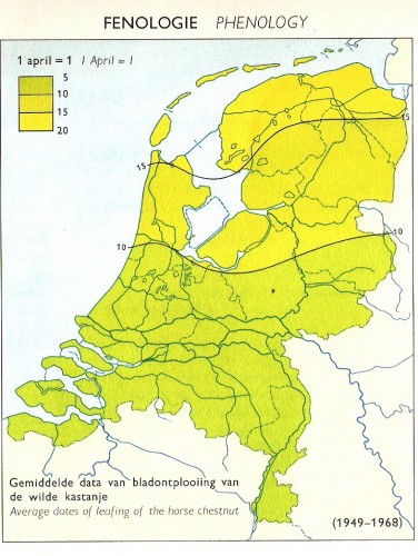 Fenologie: Gem data bladontplooiing. wilde kastanje/ paardekastanje