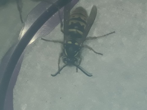 20181128_165733.jpg