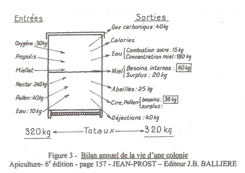 Balans bijenvolk.jpg