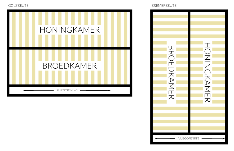 golz-bremer.png