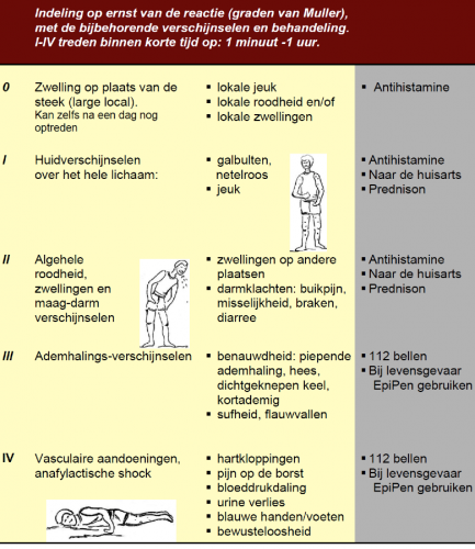 Schermafbeelding 2019-03-21 om 08.35.41.png