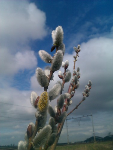 IMAG0358.jpg