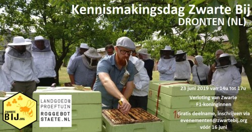 Kennismakingsdag Dronten_2019 FB.jpg