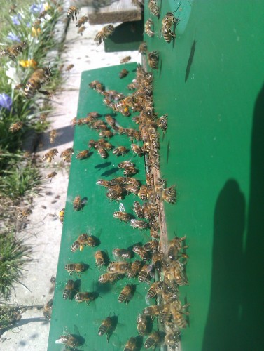 IMAG0369.jpg