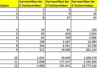 Vermehrungsrate 2.jpg