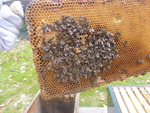 P1030477.JPG