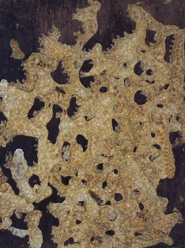 20050714 Kunst 02.JPG