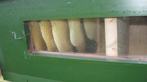 lattenkast 002.JPG