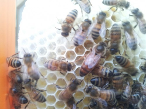 20130609_212126_resized.jpg