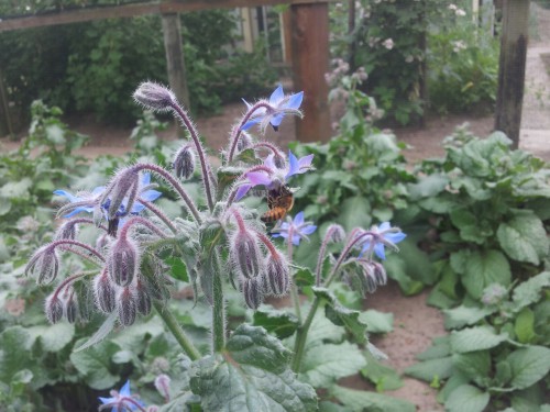20130615_170157_resized.jpg