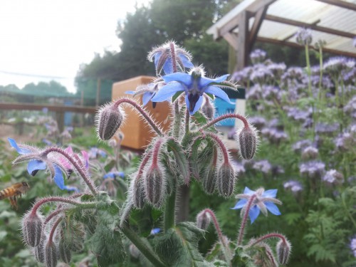 20130615_170035_resized.jpg