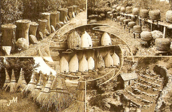 carte postal
