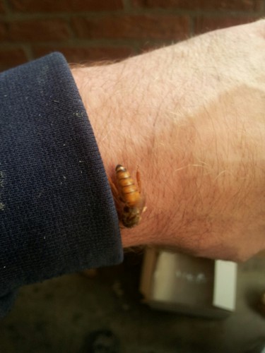 20130624_141419_resized.jpg