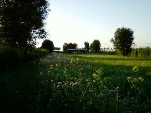 Foto0050.jpg